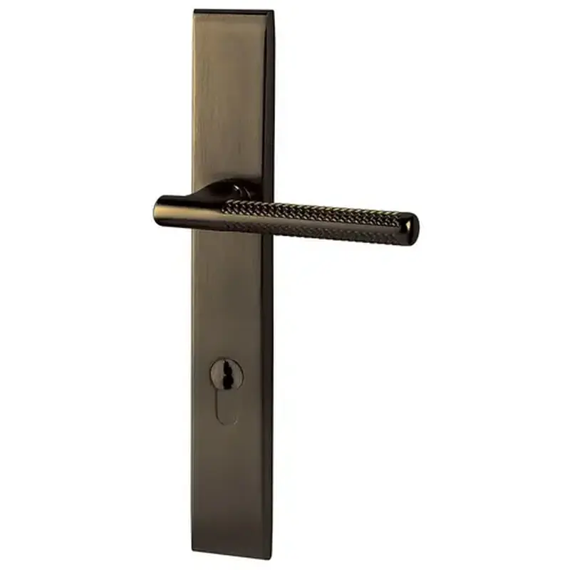 Baldwin MP013050FD1 Lakeshore Multi Point Trim Full Dummy Configuration 1 Antique Brass Finish
