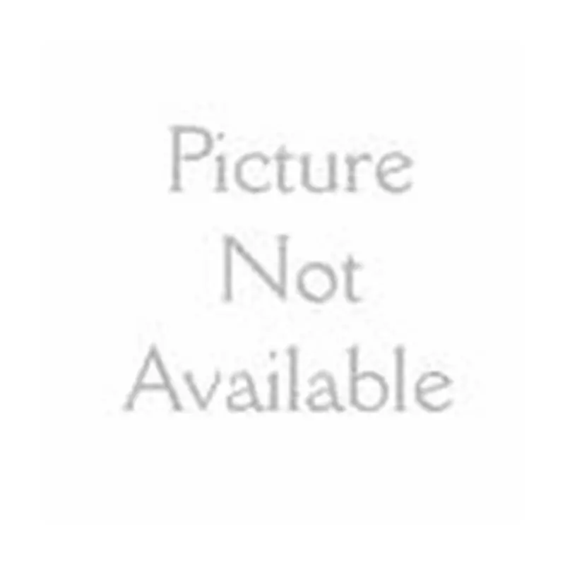 Best Garden HGBH1601 40 In. H. Black Steel Plant Hanger Stand
