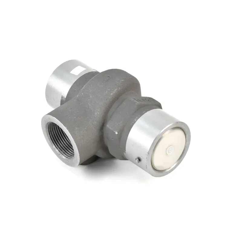 ELGi Minimum Pressure Valve Assembly Replacement - B00930107007