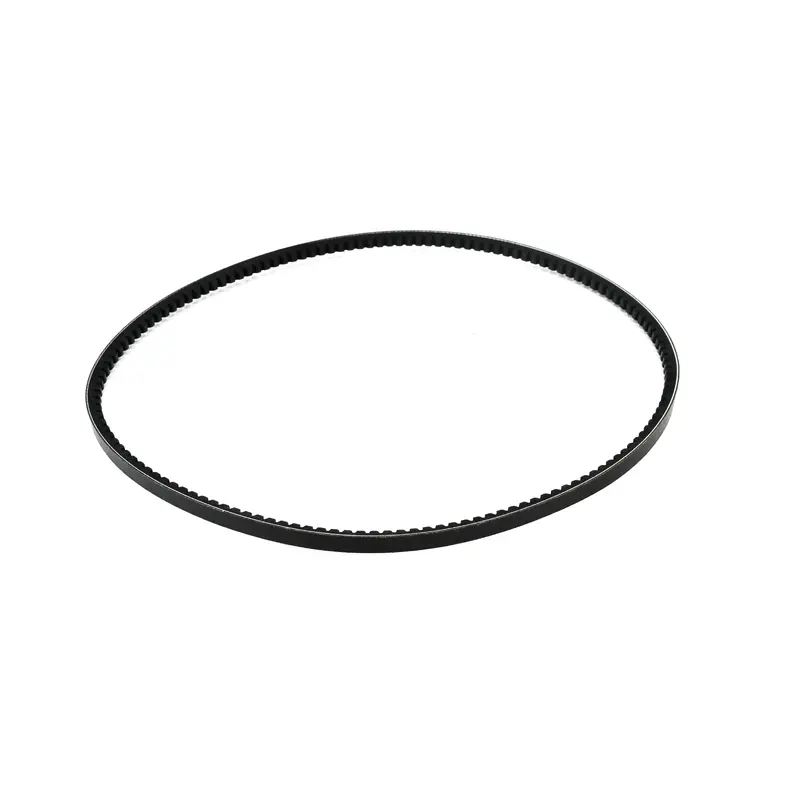 FS-Curtis Belt Replacement - 2113019970