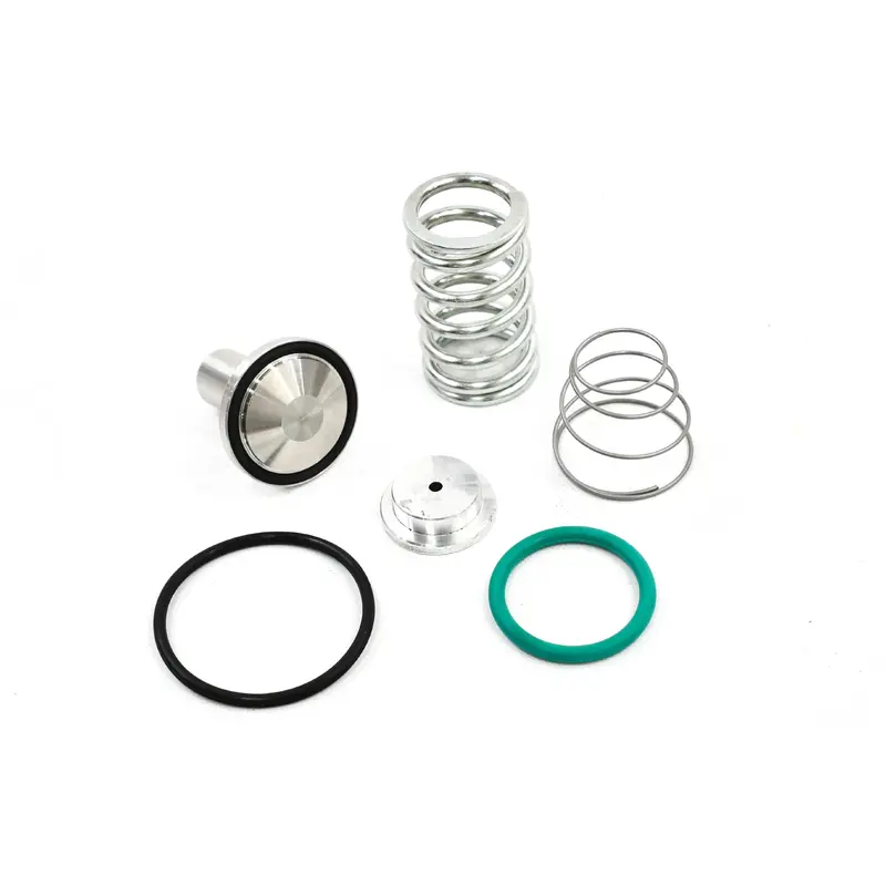 Ingersoll Rand Minimum Pressure Check Valve Kit - 24509200
