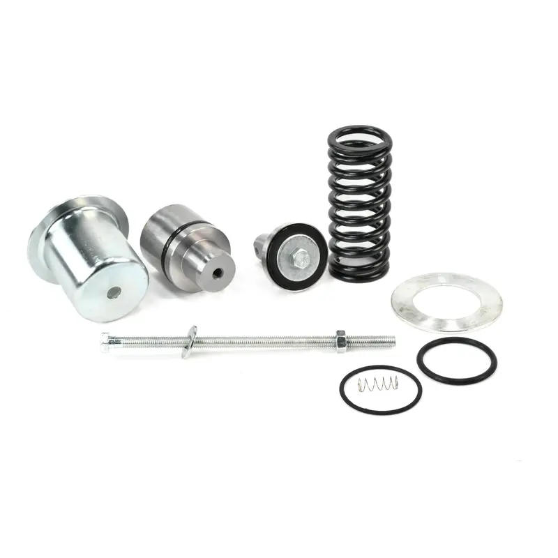 Kaeser Minimum Pressure Check Valve Overhaul Kit Replacement - 400983.2