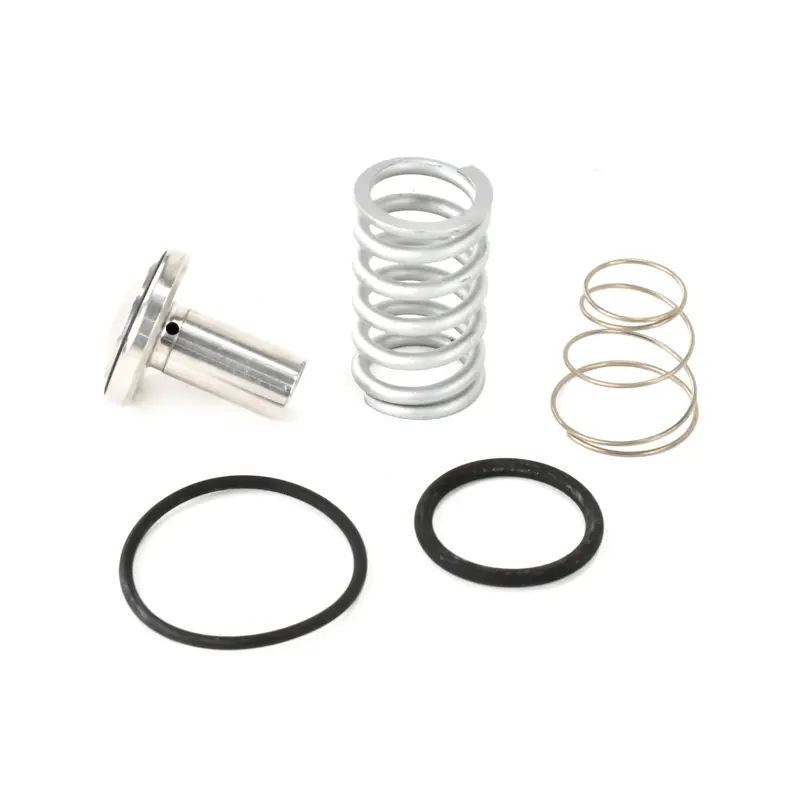 Quincy Minimum Pressure Check Valve Kit Replacement - 2013900406