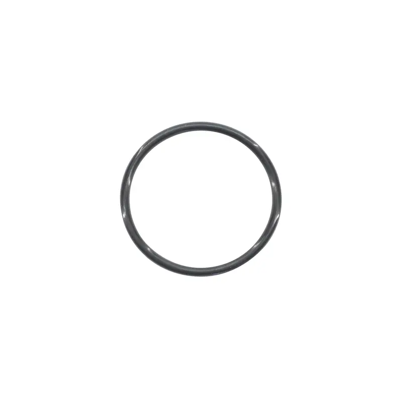 O-Ring, Fuel Sender