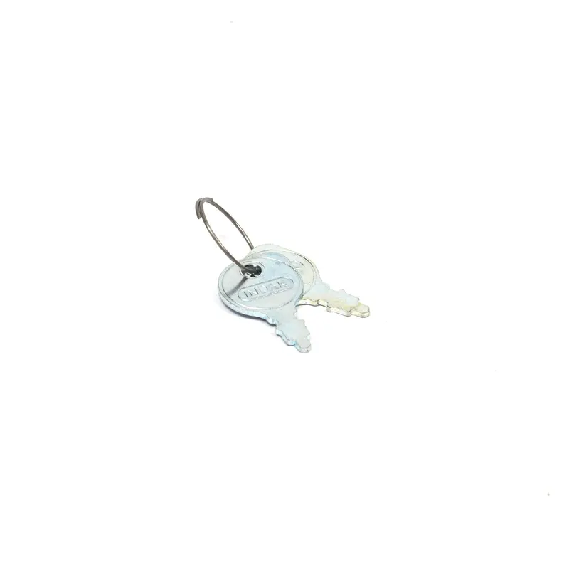 Briggs and Stratton 20729MA KEYS & RING