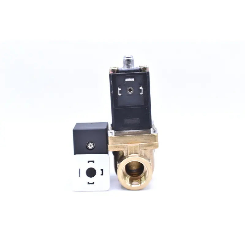Ingersoll Rand Blowdown Valve Replacement - 39116546