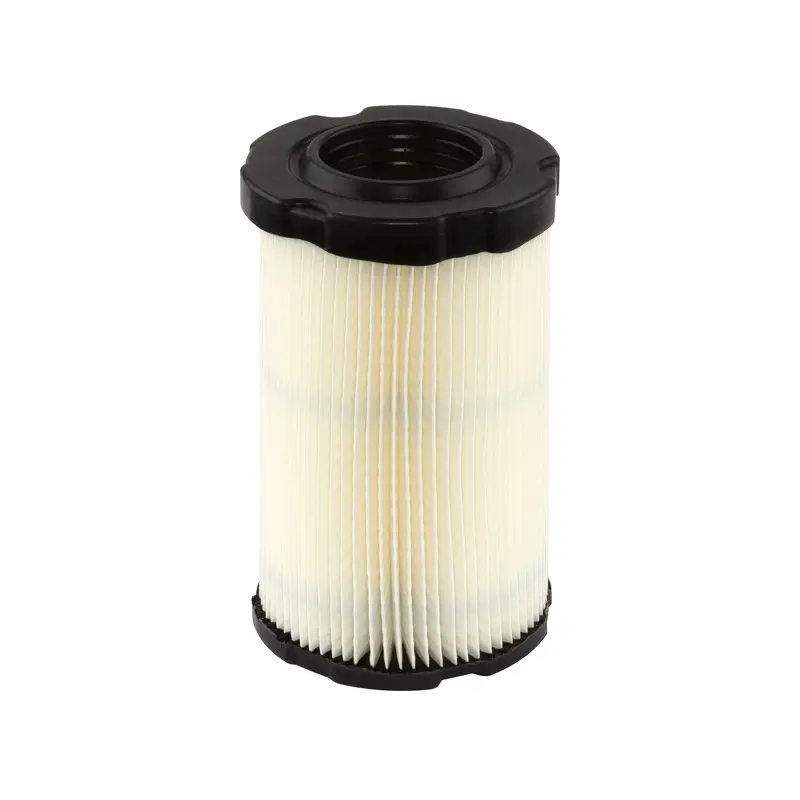 Briggs and Stratton 4243 Air Filter  (5 x 594201)