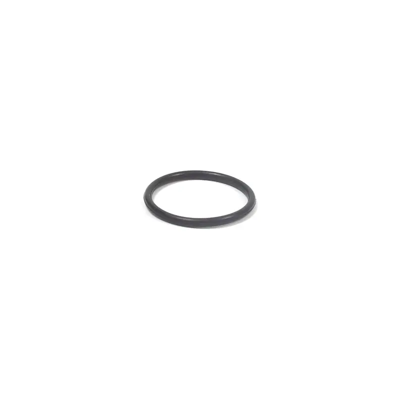 Briggs and Stratton 557007 O-Ring Seal