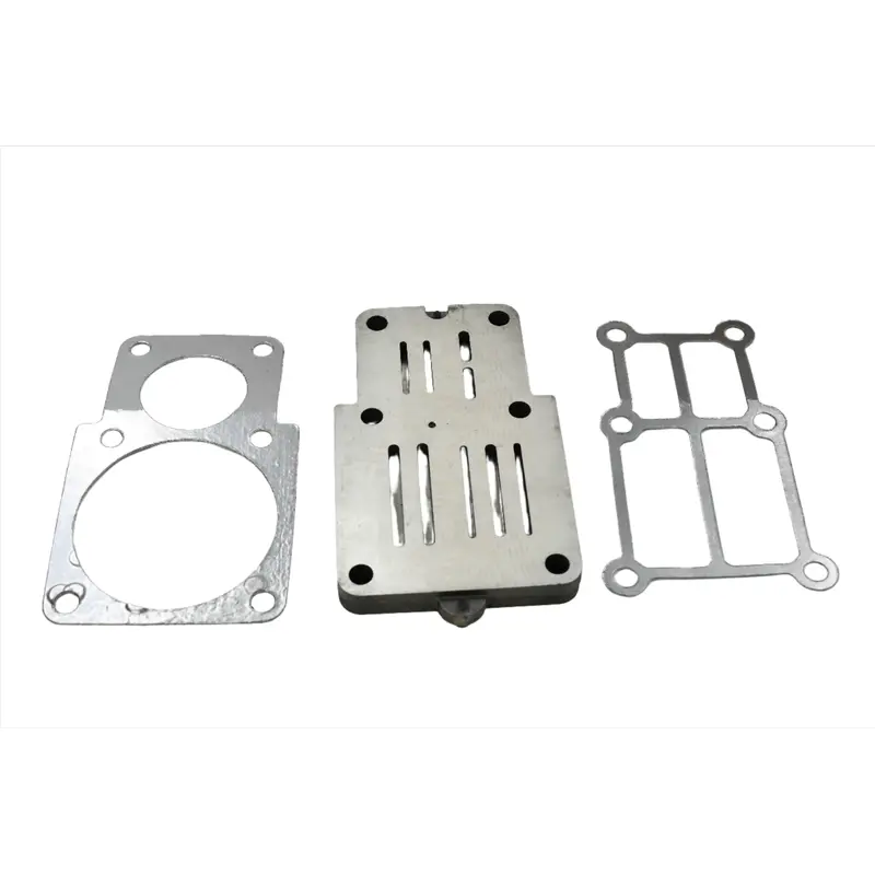 FS-Curtis Valve Plate Kit Replacement - 70153-31001