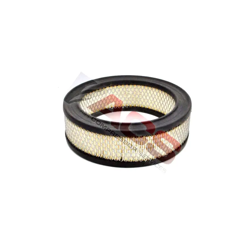 Canadian Air Air Filter Replacement - 561209