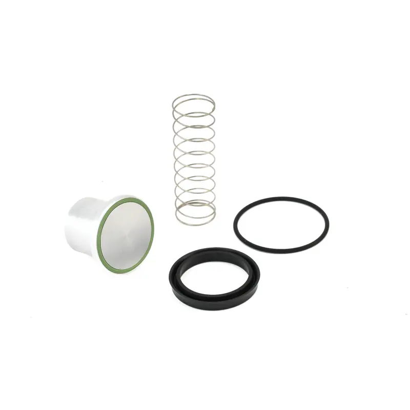 Quincy Minimum Pressure Check Valve Kit Replacement - 2013900408
