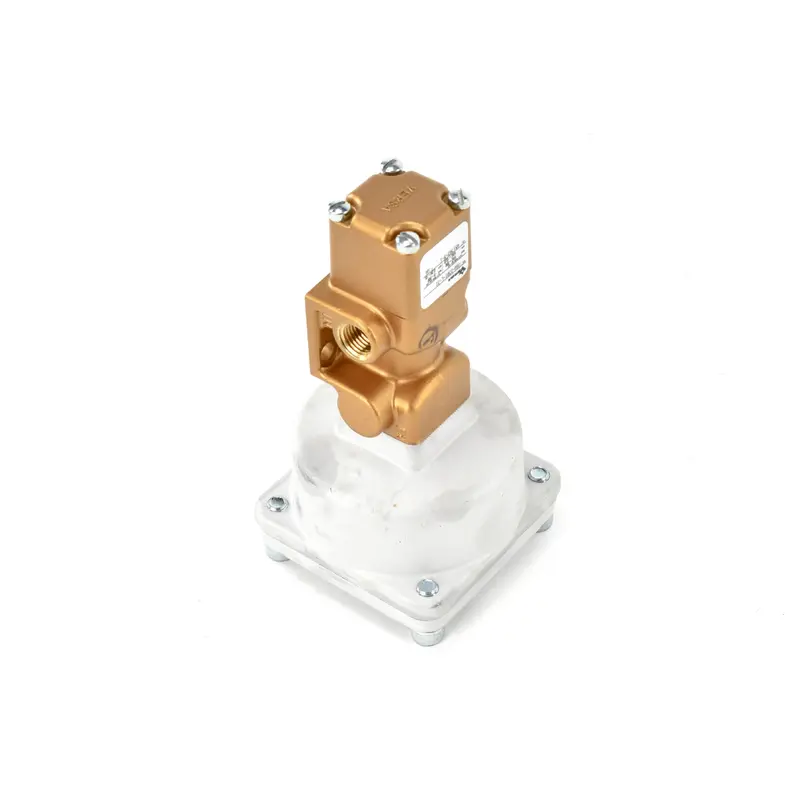 Gardner Denver Purge Valve Replacement - 90AR1082