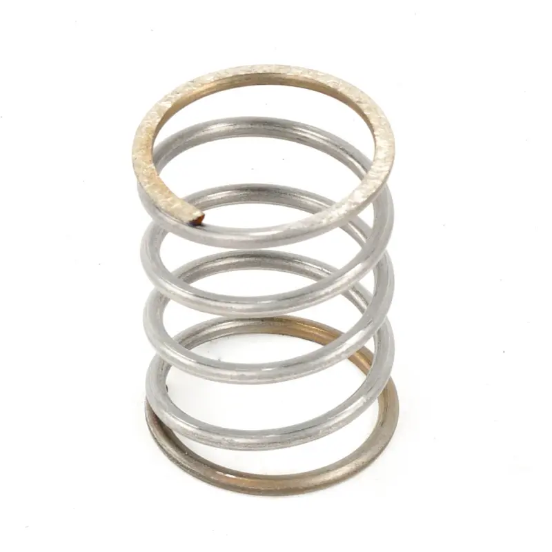LeROI Spring Replacement - 220-260-10