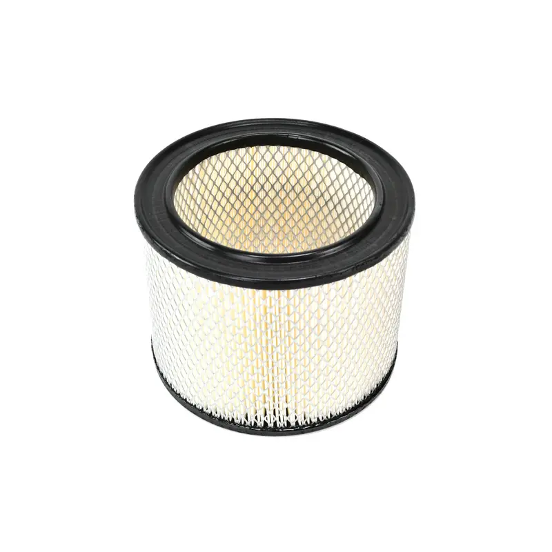 Kaeser Air Filter Replacement - 6.5036.0
