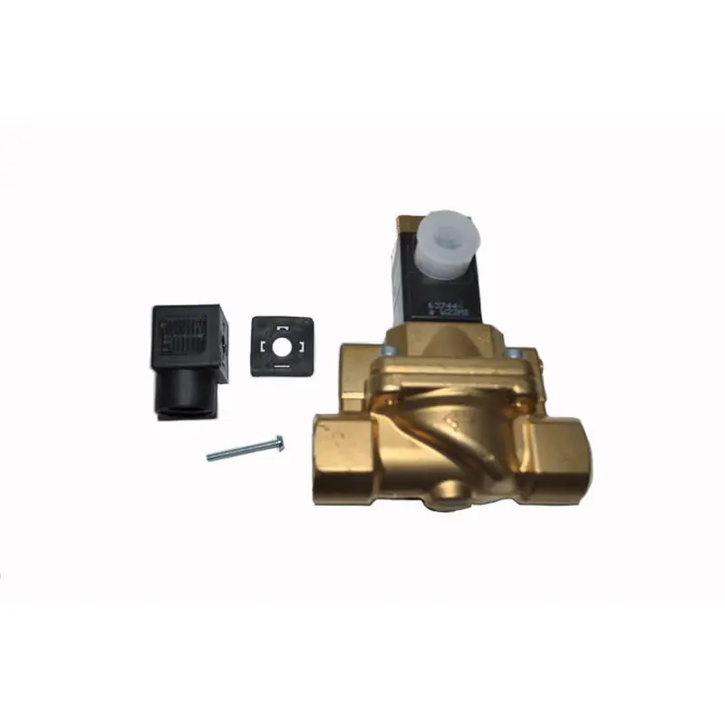Ingersoll Rand Field Replacement Valve Replacement - 39137302