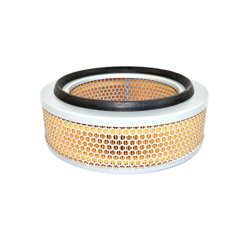 Kaeser Air Filter - 6.4139.1