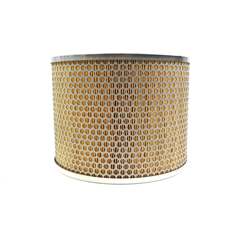 Solberg Air Filter Replacement - 856