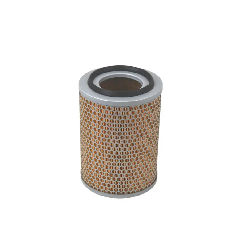 Kaeser Air Filter Replacement - 6.0219.0