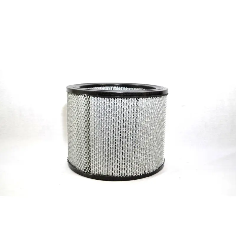 Stoddard Air Filter Replacement - F8-139